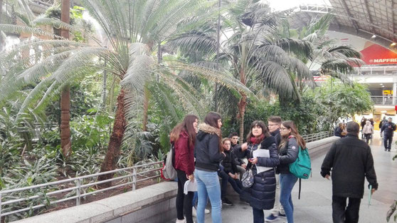 Al Parque del Retiro