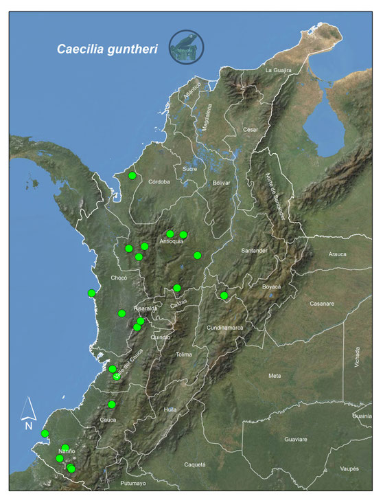 Caecilia guntheri, Registros en Colombia