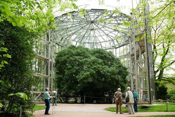 Bild-Quelle „Schloss & Park Pillnitz“