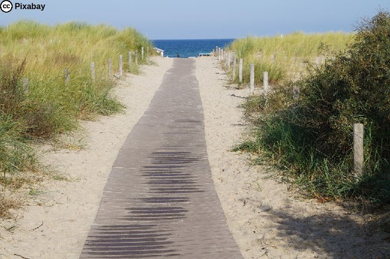 Ein Pfad aus Holzbohlen durch den Sand über die Dünen zum Meer hin. Bild von Nancy Steffens auf Pixabay.
