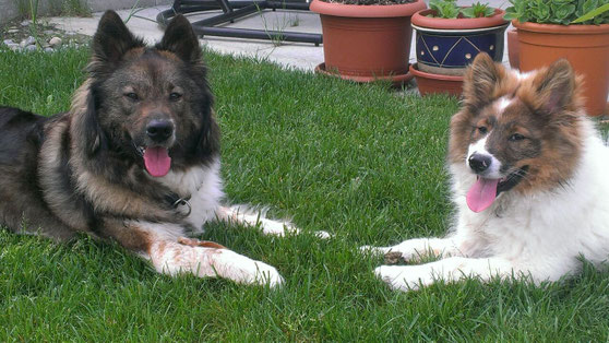 Cailin besucht Alina!