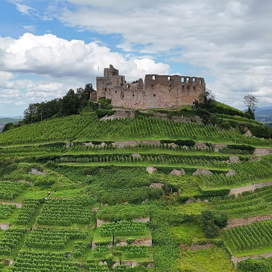 Burg Staufen Generalsanierung
