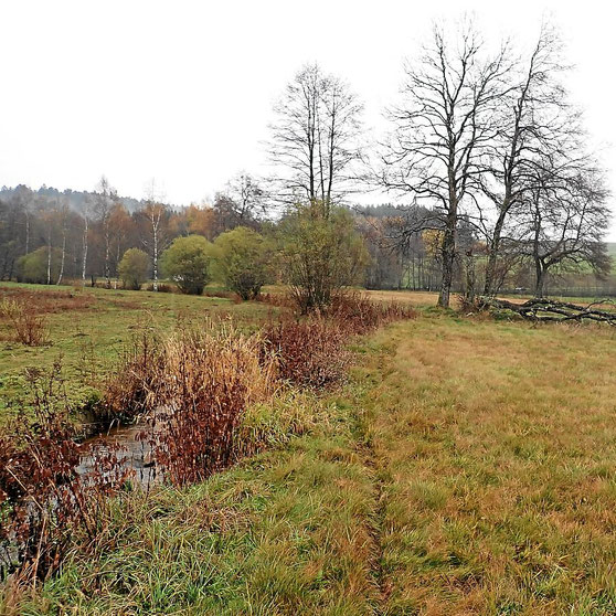 Landschaftsplanung Naturschutz Genehmigung Murgtalpfad