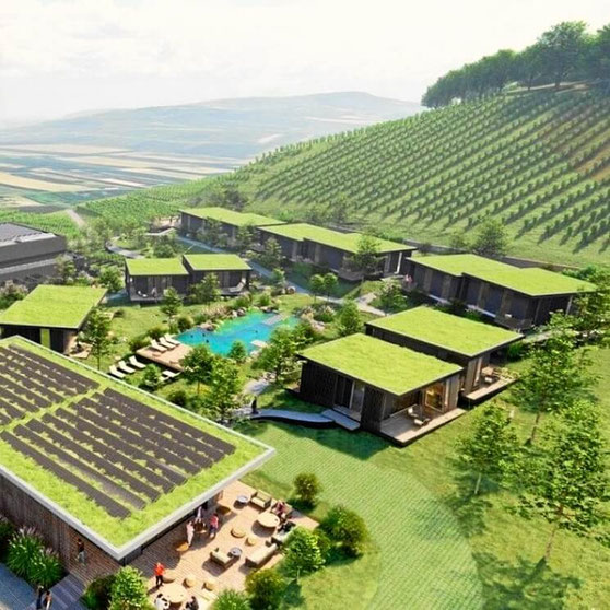 Chalet-Dorf Weingut Abril in Vogtsburg-Bischoffingen