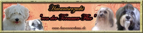 Hier unser Banner zum mitnehmen.