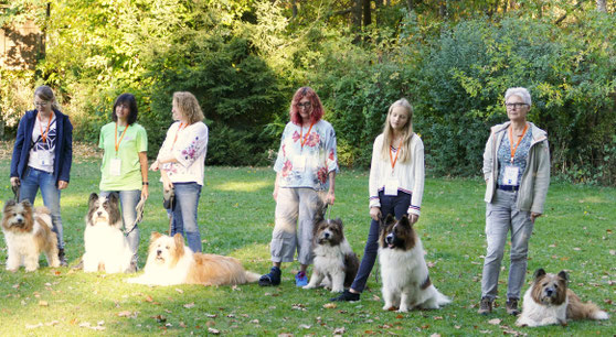 Foto: Michaela Hilburger. O-Samba, Othello-Mogli, Obama-Dusty,Mama Candy, Onion-Enjo und Oralie-Lilly von Werths Echte. Tochter O-Samba blieb mit ihren 42 cm ein Klein-Elo, alle anderen sind über 46 cm und damit Groß-Elos.