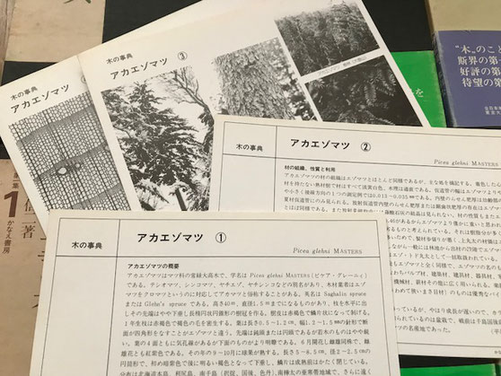 北海道のMさん、サンプル待ってます!