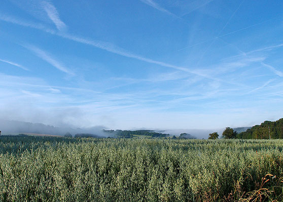 früher morgen auf der schwäbischen alb