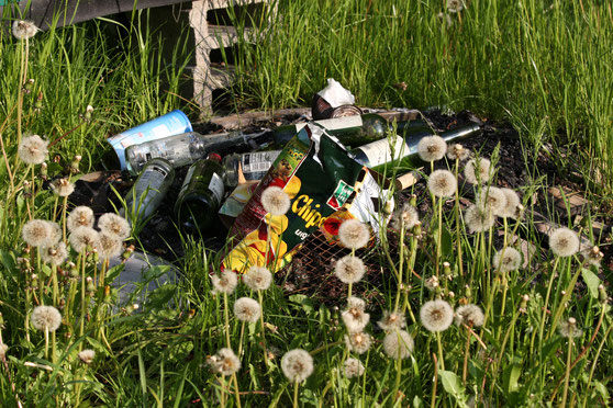 Ein Haufen zusammengesammelter Müll. Es befinden sich darin unter Anderem viele Plastik- und Glasflaschen, sowie eine leere Chipstüte.