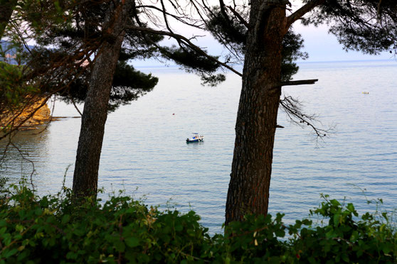 Un bateau sur une mer calme ; la vue entre deux pins suggère la détente, l'envie de se poser là