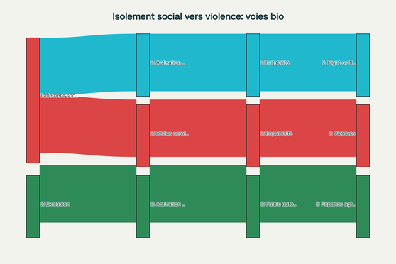 Voies neurobiologiques reliant l'isolement social à la violence : mécanismes du stress, de la sérotonine et de la douleur sociale