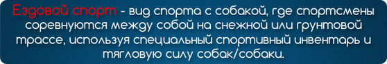 ездовой спорт определение