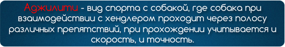 аджилити определение