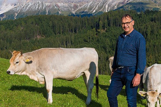 Dorfmetzgerei-Holzner-Lana-Speck-Macelleria-Macelleria Holzner - Lana - Gourmet Südtirol Gourmet-Südtirol