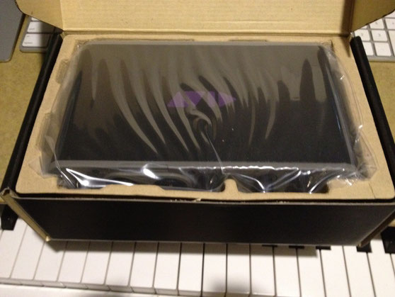 iPadで超使えるモバイルI/O！！AVID Fast Track Duo - ギタリスト居倉