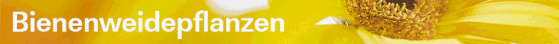 Bienenweidepflanzen