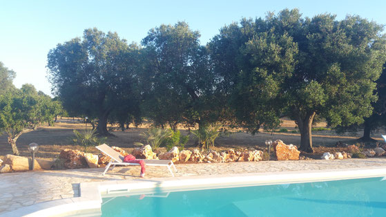 La piscina della casa vacanze in Puglia vicino a Ostuni - affitta con la piscina privata dei Trulli nel Tempo