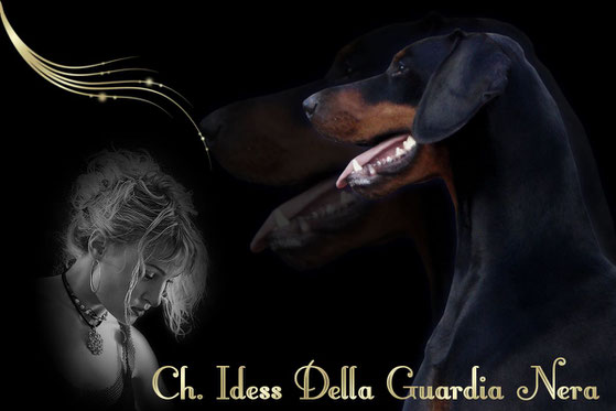 Ch. Idess Daahony Della Guardia Nera