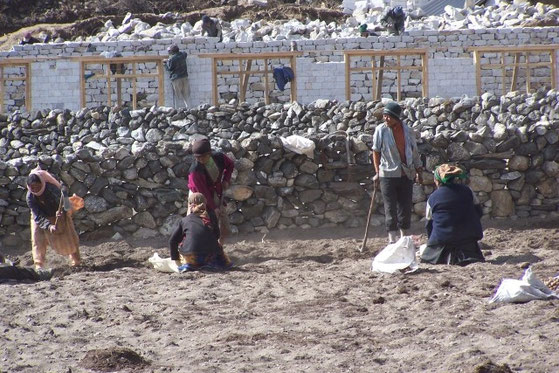 aardappels poten in de Himalaya