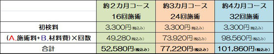 耳つぼダイエット コース料金例