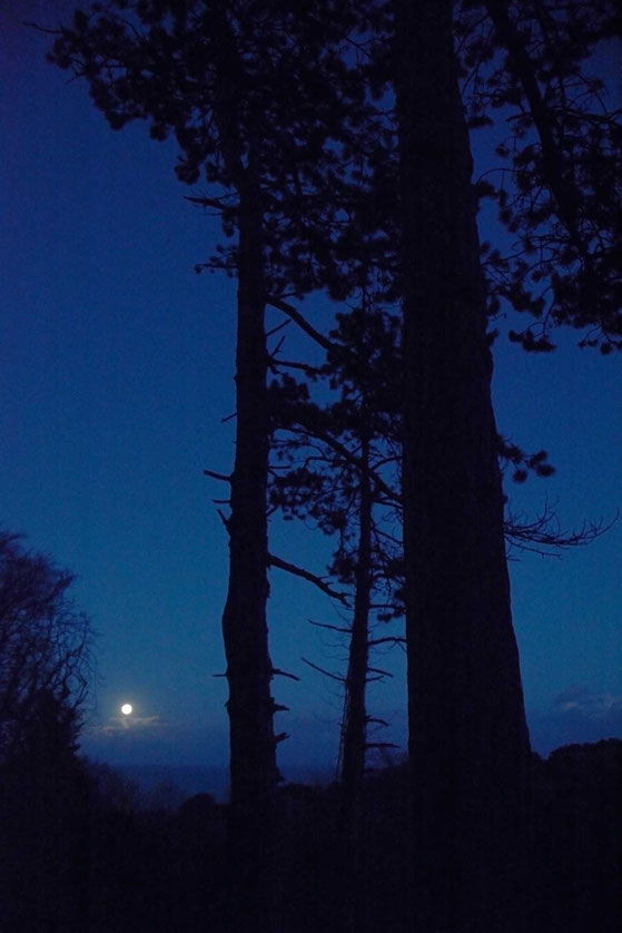 Not quite a full moon rising over the Dover Strait at St Margaret's Bay, Kent. 