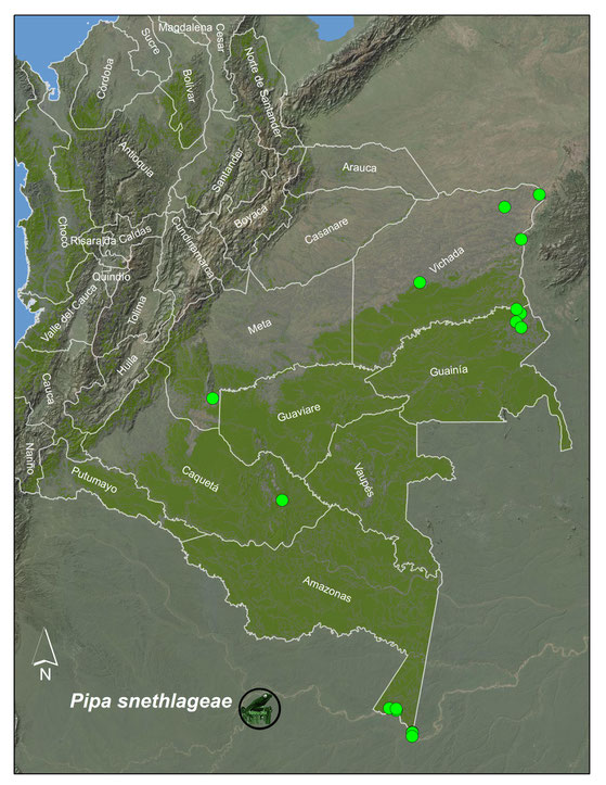 Lista y Mapas Anfibios de Colombia