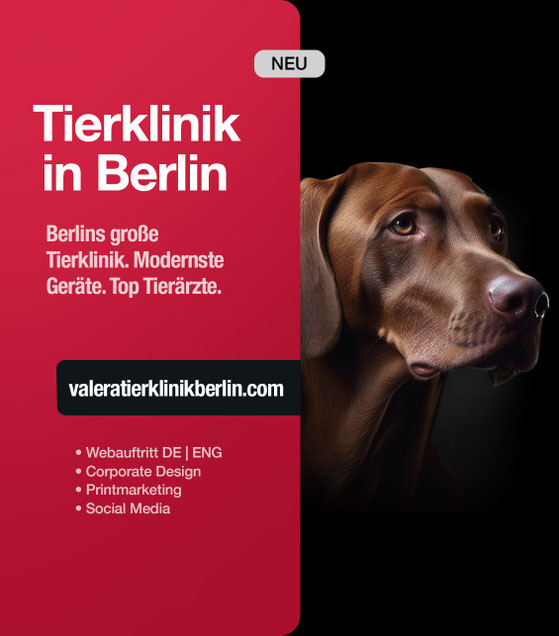 Erfolgreiches Webprojekt einer Online Marketing Agentur Berlin