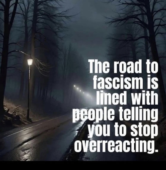 Photo of a dark street with a solitary lamp post and the words The road to fascism is lined with people telling you to stop overreacting.