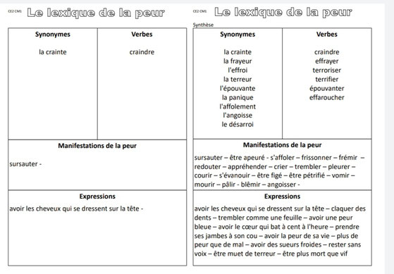 Vocabulaire peur production écrite rédaction Picot Grammaire Méthode Picot Correction CE2 CM1 cycle 2 cycle 3