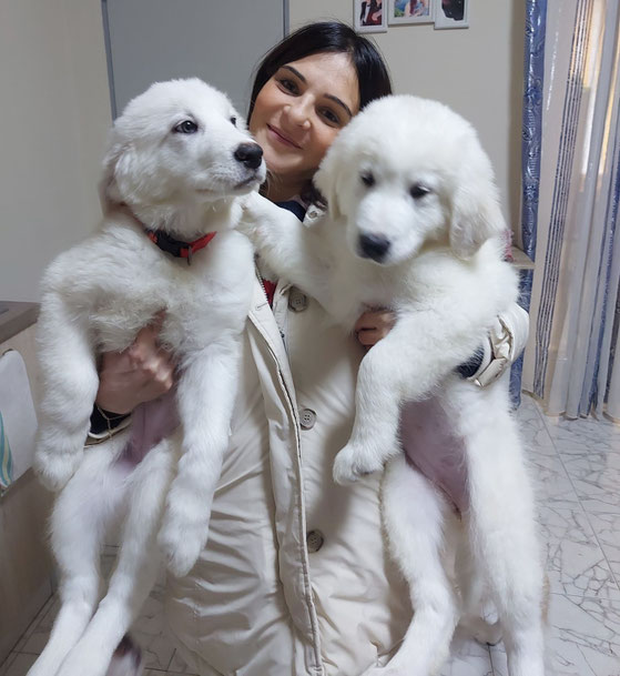 Hier unsere Marialuisa die gute Seele während dem Vermittlungsprozess