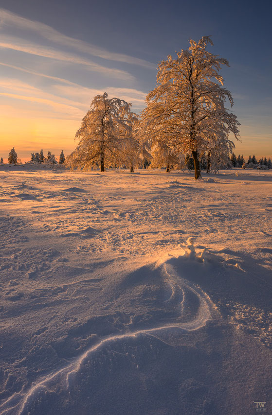 7 Der Wind der letzten Tage sorgte für tolle vereiste Schneestrukturen