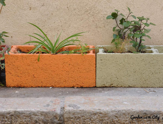 Parpaing coloré sur trottoir avec chlorophytum à Marseille