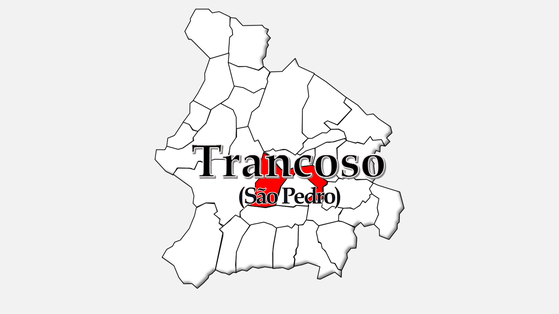 Freguesia de Trancoso (São Pedro)