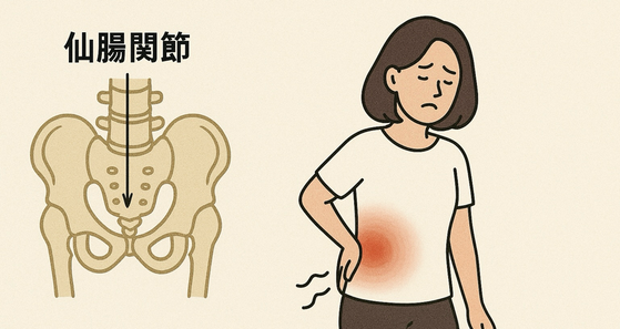 仙腸関節がうまく動かないと、骨盤が不安定になり、腰や背中に負担が蓄積。マッサージで改善しない腰痛も、仙腸関節を整えることで根本改善につながります。