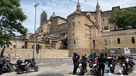 Urbino
