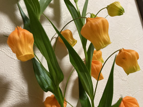 サンダーソニア きくちえつろうのポピーポピー サンダーソニア きくちえつろうのポピーポピー