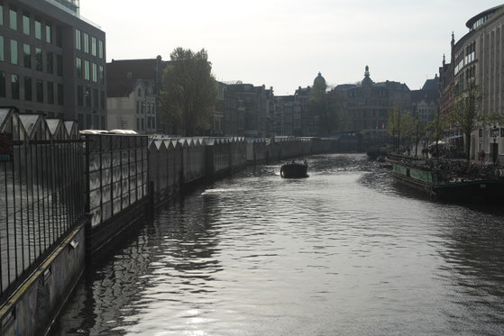 serre sul fiume che sono il mercato dei fiori galleggiante di Amsterdam