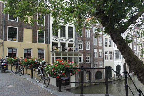 strade di Utrecht con biciclette e vasi di fiori colorati 