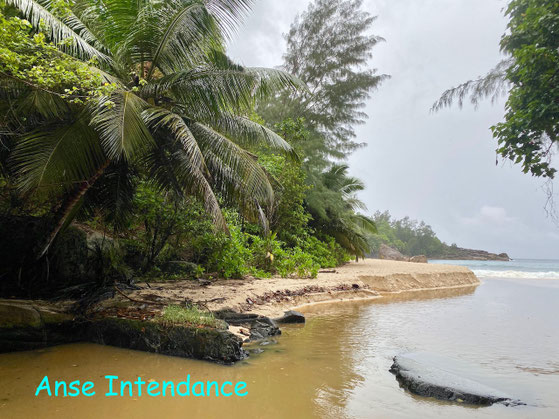 Bild: Anse Intendance