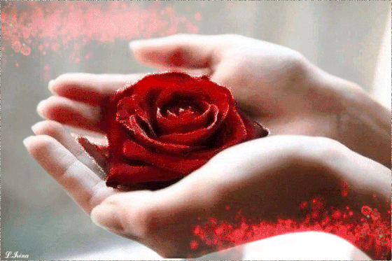 image.gif
