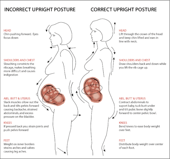 Image from; Natural Childbirth Education