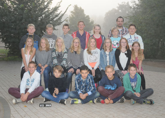 6d 2014 2015