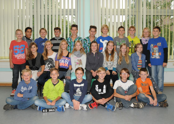 6d 2013 2014