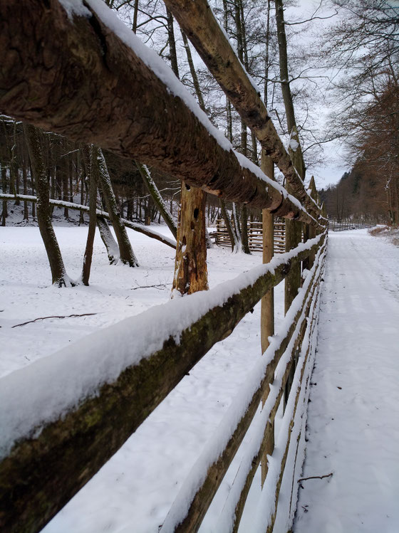 Winter im Wildpark