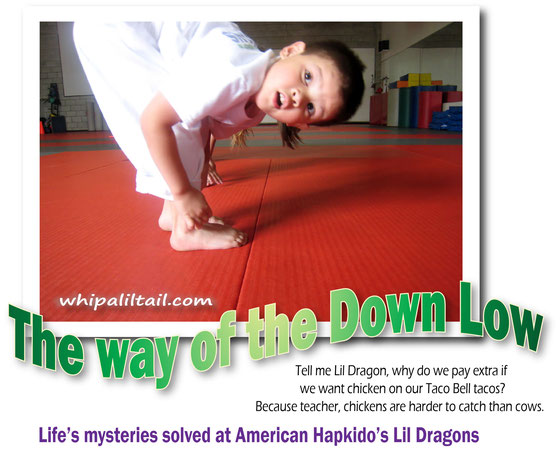 The Way Of The Down Low American Hapkido S Lil Dragons Pre K
