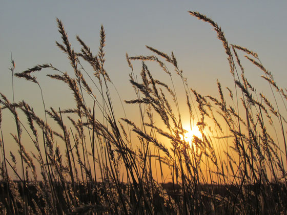 Sonnenuntergang