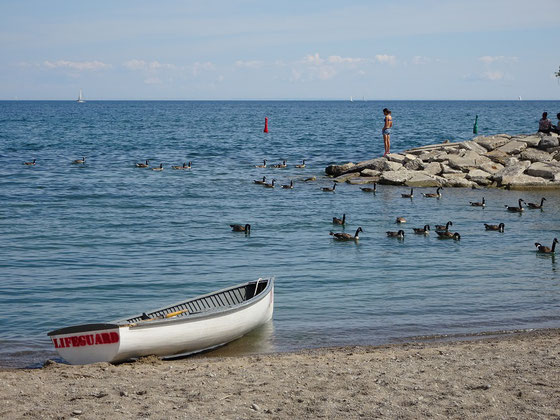 Sommer in Toronto: Strandszene vom Kew Beach.