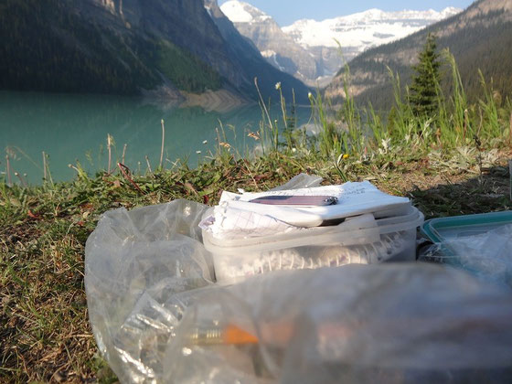 Geocache am Lake Louise in Alberta.