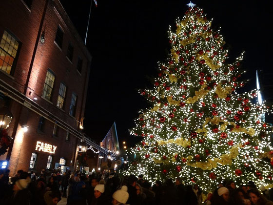 Hell erleuchteter Weihnachtsbaum in Torontos Distillery District.