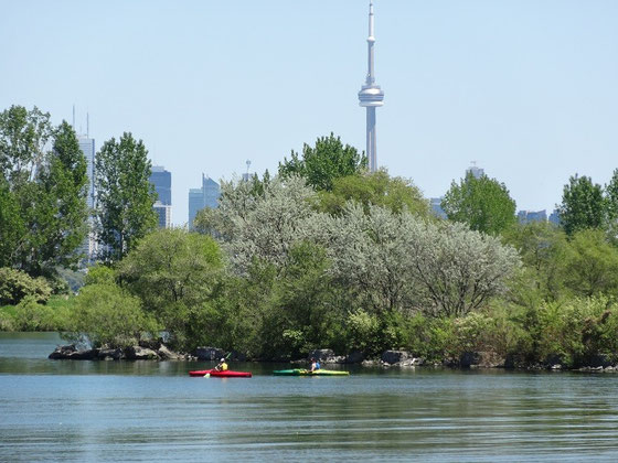 Kayak in Kanada: Paddler auf dem Lake Ontario